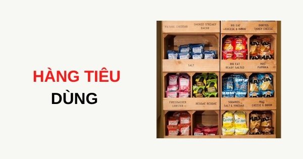 Hàng Tiêu Dùng Là Gì? Bản Chất Hàng Tiêu Dùng | CNSG