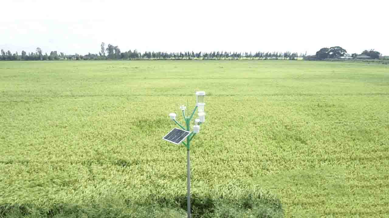 Robot giám sát nông nghiệp thông minh