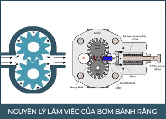 Nguyên lý hoạt động bơm bánh răng