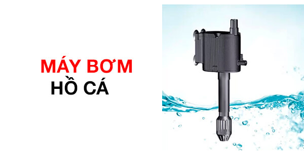 MÁY BƠM HỒ CÁ.