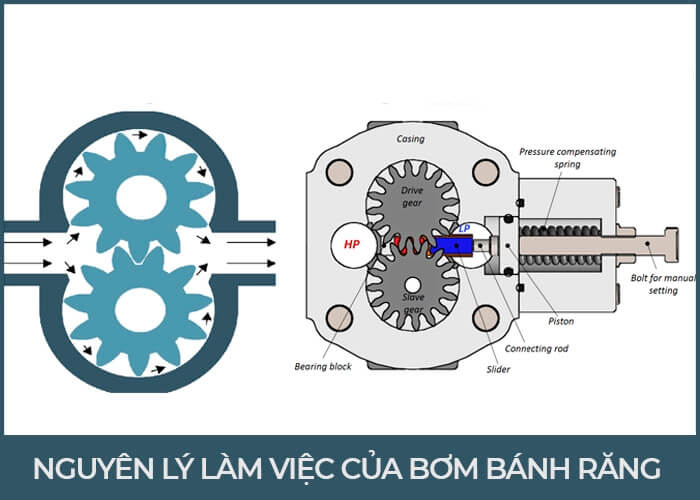 Bơm Thủy Lực Bánh Răng Là Gì? Cách Chọn CHUẨN | CNSG