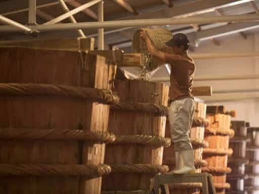 Chuyển cá đã ướp muối vào thùng chặt kín (1)