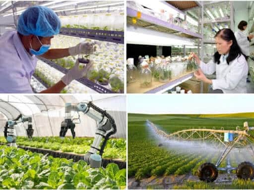 Giải pháp phát triển nông nghiệp xanh